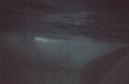 Basking Shark over the Iona II site